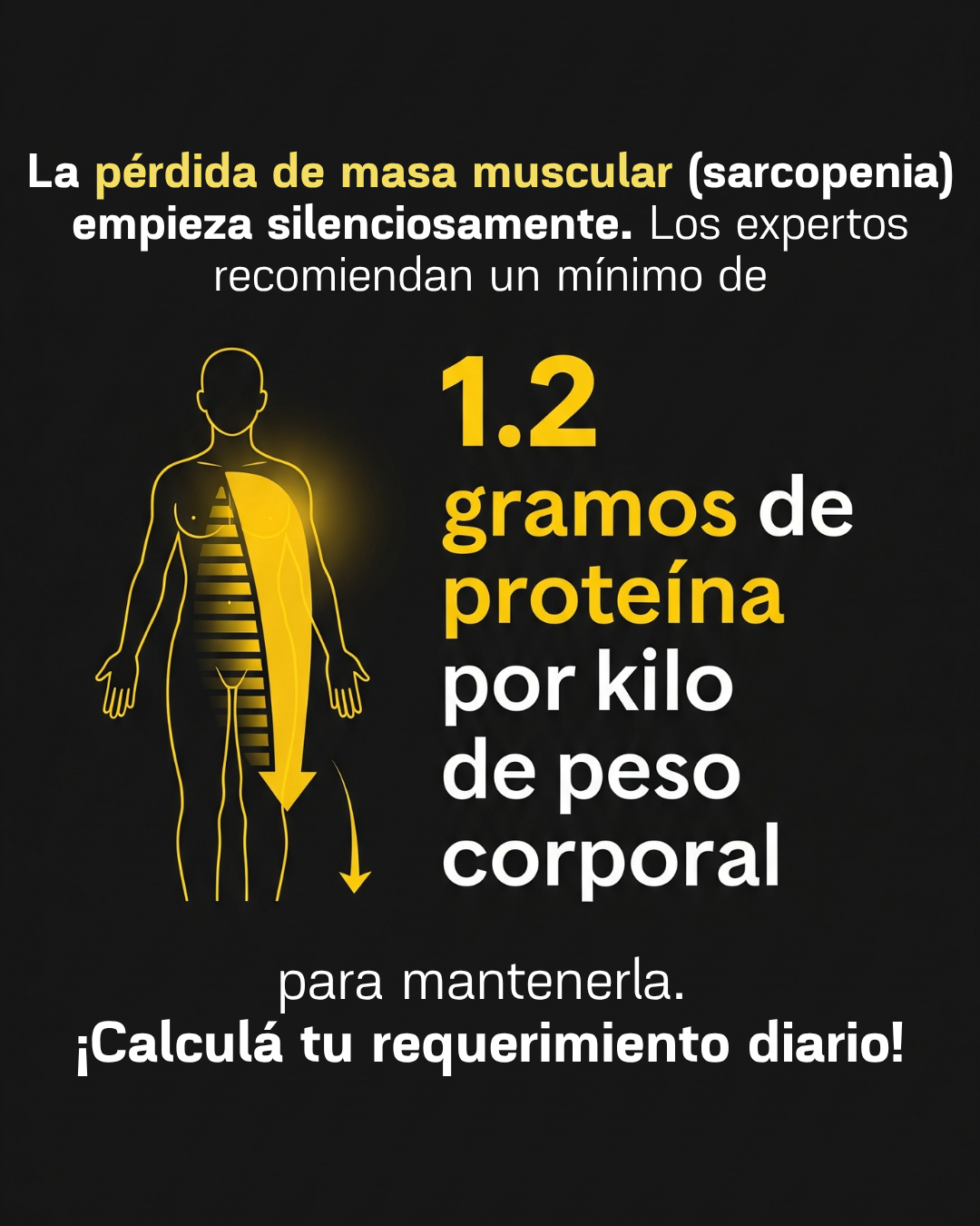 Ebook CATZ: 400 Recetas Altas en Proteína